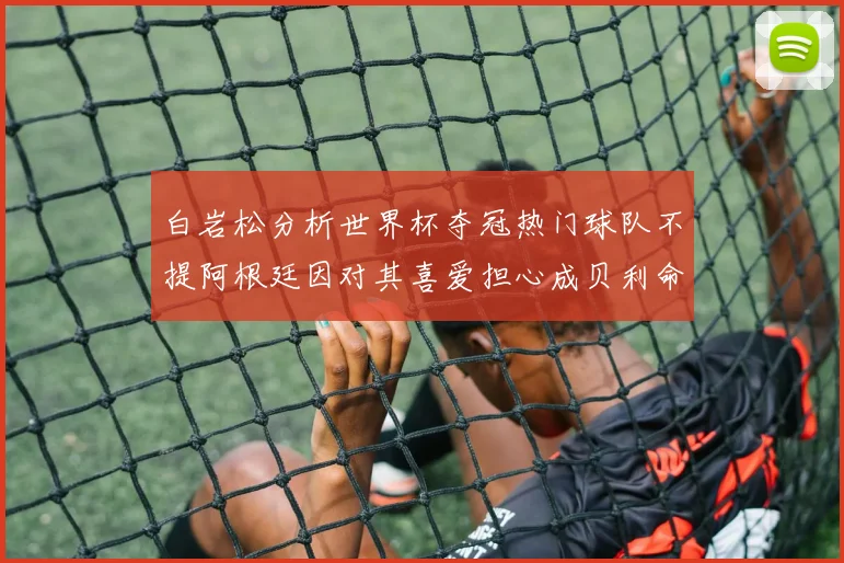 白岩松分析世界杯夺冠热门球队不提阿根廷因对其喜爱担心成贝利命运